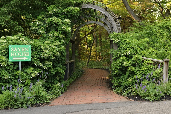 Arched wooden gate frames a brick path leading into a lush, green forest.