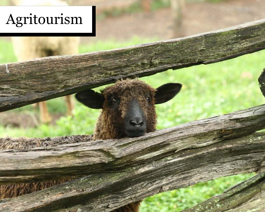 Agritourism