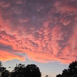 Vibrant pink and orange sunset clouds over a dark silhouette of trees and houses.