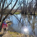 Child by a still pond reflecting trees and bright sunlight on a sunny day.