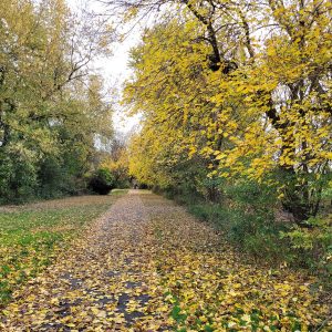 Anker Park