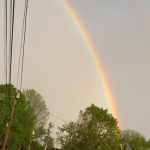 Vibrant double rainbow arches over a suburban street lined with green trees under a pale sky.