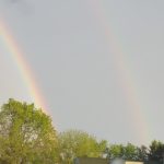 Double rainbow arching over green trees and a pale sky after rain.