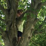 Boy hiding in a large, leafy tree trunk outdoors.