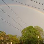 Double rainbow arches over trees and power lines under a pale sky.