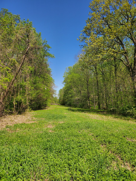 Autumn Hill Reservation