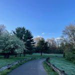 Winding paved path through a park with green grass, trees, and blue sky.