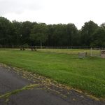 Grassy park area with trees in the background, featuring benches and a chain-link fence.