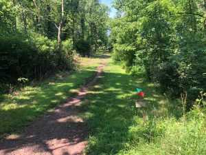 Billy Johnson Mountain Lakes Nature Preserve