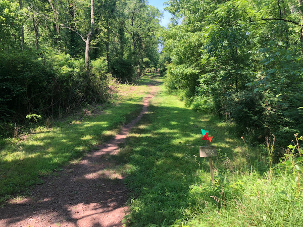 Billy Johnson Mountain Lakes Nature Preserve