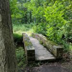Stone footbridge crossing a small stream in a lush, green forest setting.