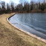 Frozen pond edge with grassy bank and bare trees in the background.