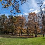 Autumn trees with yellow and brown foliage line a grassy park under a blue, cloudy sky.