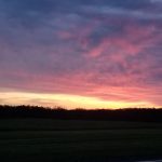 Vibrant sunset with pink and purple clouds over a dark silhouette of trees and field.