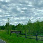 Rural road with green fields, wooden fence, and a sign for Carson Road Woods under cloudy skies.