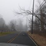 Foggy rural road winding through bare trees under a gray sky.