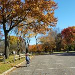 Child rides bike on paved path through park with autumn trees.