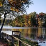 Autumn trees line a calm lake reflecting the colorful foliage under a clear sky.