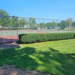Outdoor sports field with green grass, hedges, and a tennis net under a clear blue sky.
