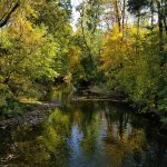 Winding river flowing through dense, colorful autumn woods.