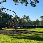 Children swing on playground equipment under a bright blue sky in a grassy park.