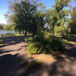 Park pathway lined with trees and bushes near a calm body of water on a sunny day.