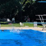 Person diving into a bright blue swimming pool on a sunny day with trees in the background.