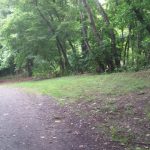 Dirt path winding through a lush, green forest canopy on a bright day.