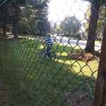 Cyclist on a path behind chain-link fence with bright sunlight filtering through trees.