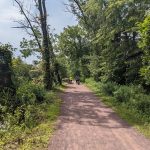 Dirt path through a lush, green wooded area alongside a calm body of water.