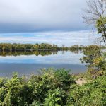 Calm lake reflecting a cloudy sky, bordered by lush green trees and foliage.