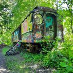 Graffiti-covered, weathered train car overgrown with greenery in a wooded area.