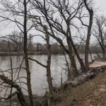 Bare trees line a wide, calm riverbank under an overcast sky.
