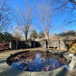Stone fountain basin with autumn leaves, surrounded by trees under a clear blue sky.