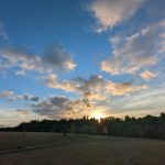 Sunset over a grassy field with scattered clouds in the blue sky.