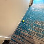 Blue and gray striped carpet in a brightly lit hallway with a yellow square on the floor.