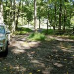 SUV parked on a dirt forest road surrounded by tall green trees.
