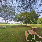Picnic tables scattered across a lush green park lawn under large trees.