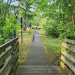 Child walks down a wooded park path toward distant trees and structures.