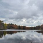 Overcast sky reflects on a calm lake bordered by autumn trees.