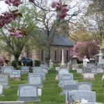 Graveyard scene with old stone tombs, blooming pink trees, and a distant church spire.