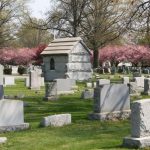 Graveyard scene with weathered tombstones under blooming pink trees in spring.