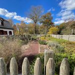 Backyard garden scene with wooden fence, trees in autumn colors, and a path.