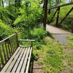 Wooden footbridge over a lush, green wooded area with a metal railing.