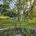 Abstract metal sculpture of bare branches in a sunny park setting with green trees.