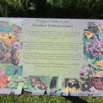 Meadow Enhancement project sign detailing native milkweed and pollinator support.
