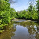 Lush green trees line a calm, reflective river under a bright blue sky.