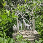 Stone sculpture of giraffes among gnarled trees in a lush, green forest setting.