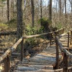 Rustic wooden boardwalk winding through a dry, wooded forest landscape.