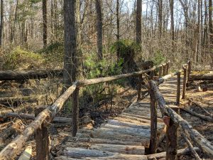 Herrontown Woods